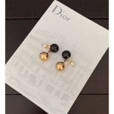 Christian Dior Earrings